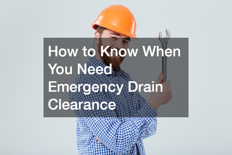 Emergency Drain Problems: Exactly What to Do Before the Engineer Arrives